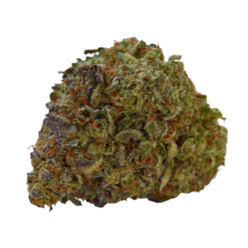 indica-dominant-hybrid_1270610839.webp