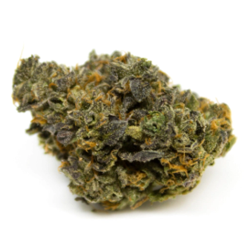 indica-dominant-hybrid_1694660521.webp