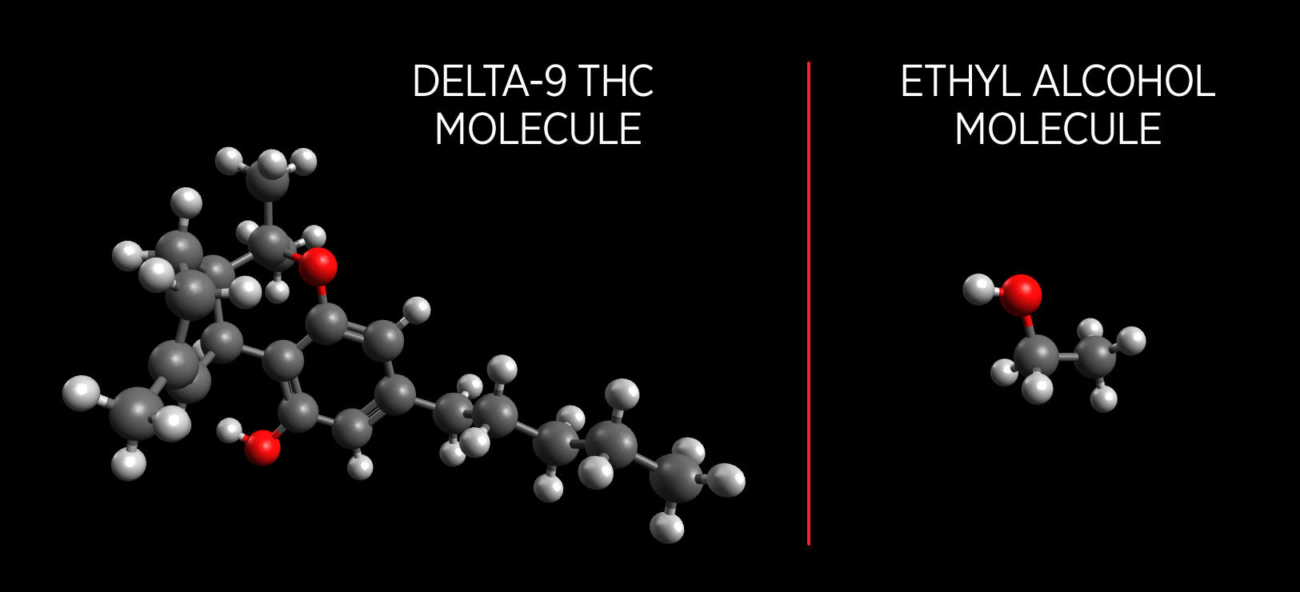 Molecular difference of hhc vs thc showing carbon double bonds and hydrogen saturation