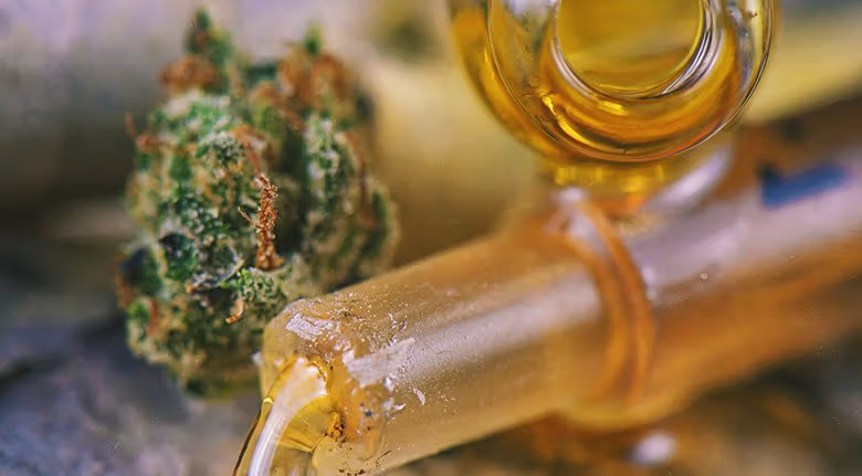 Clean extraction of botanical oil showing purified thc oil fractions