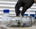 Premium bottle of pure thc p distillate resting on a modern laboratory testing table